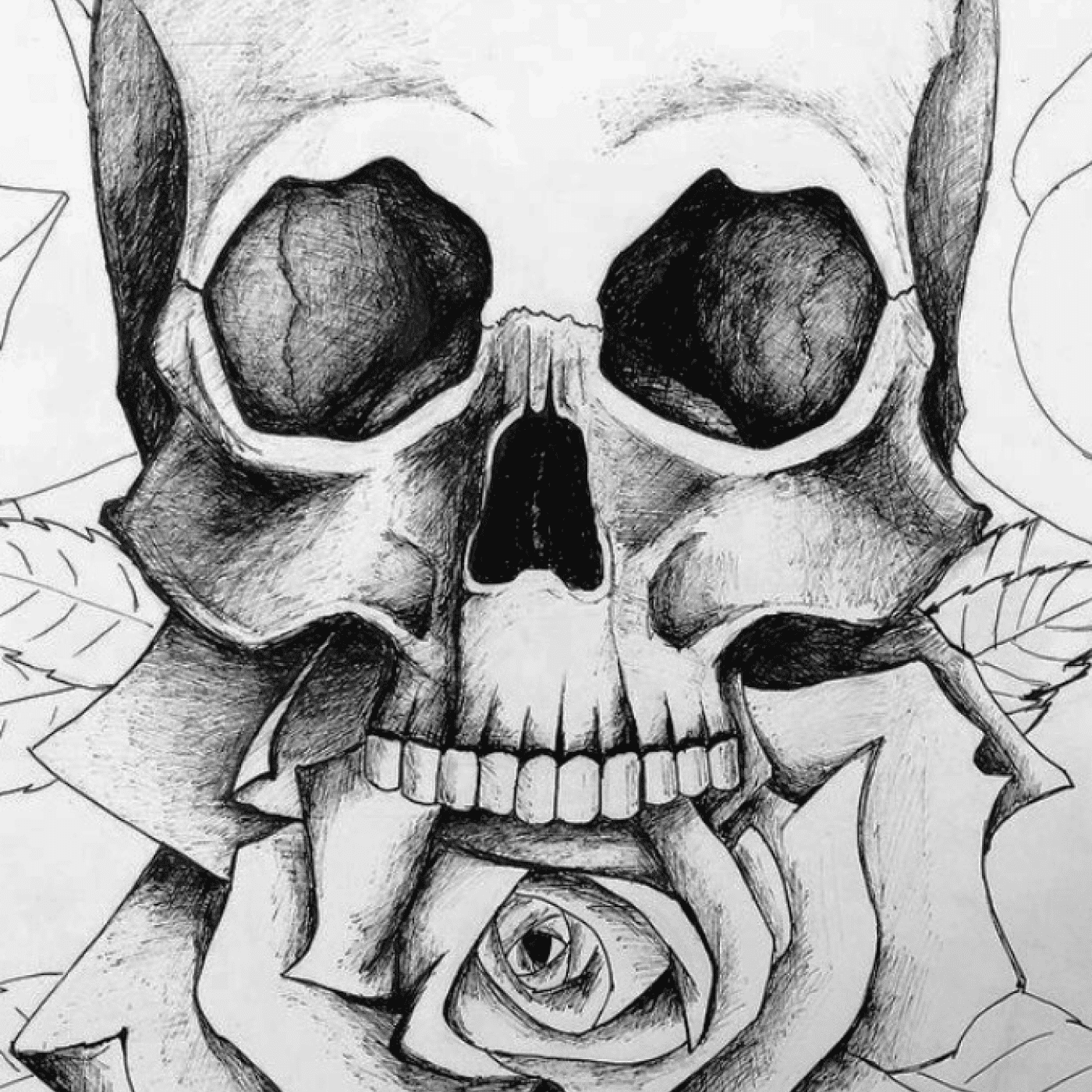 Skull Drawing